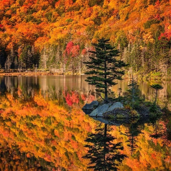 Meet your Posher, Wayne - Picture 6 of 9